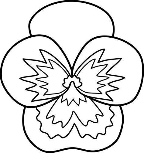 Pansy Outline Clipart