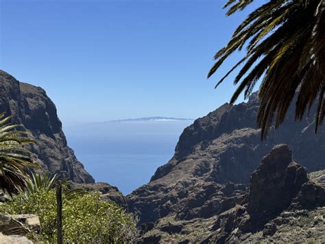 Since Everybody Is Posting Landscapes Or Bbq This Is Mine Tenerife In