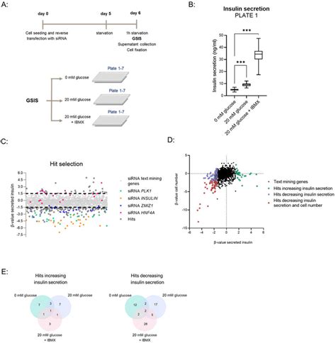 siRNA high throughput screen in EndoC βH1 cells with a GSIS readout