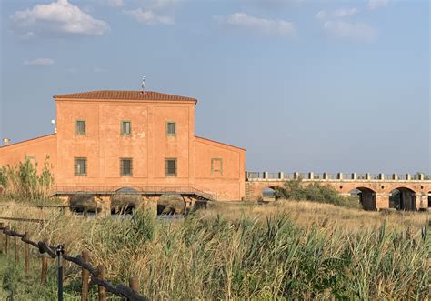 Hotel Sul Mare Castiglione Della Pescaia Albergo Aurora Con Ristorante