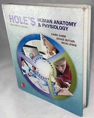 Hole S Human Anatomy And Physiology By Jackie L Butler David N Shier