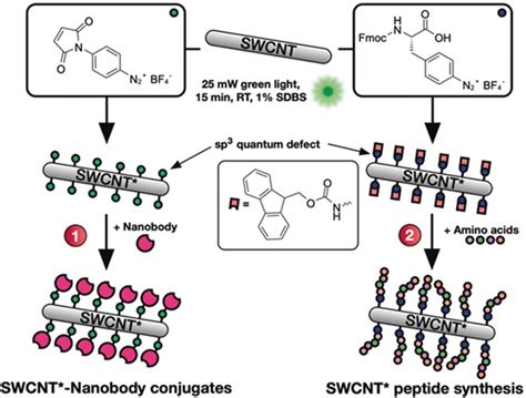 Covalent Conjugation Of Proteins Onto Fluorescent Single Walled Carbon