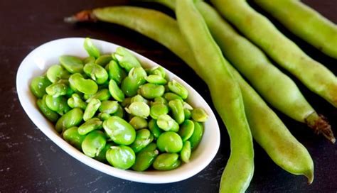 5 Health Benefits Of Eating Fava Beans