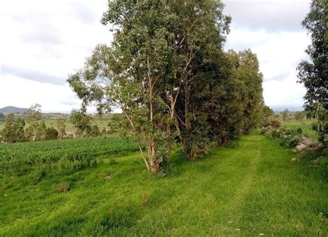 Terreno En Venta En Ba E Polotitlan Estado De Mexico Lamudi Mx