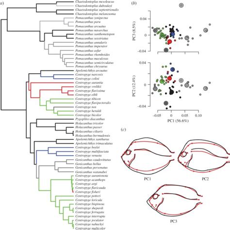 Examples of microhabitat types found within each habitat class: A... | Download Scientific Diagram