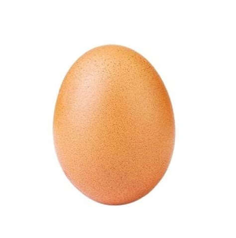 Fresh Oval Shape Brown Country Egg Egg Origin Chicken At Best Price In Perundurai Karthikeyan