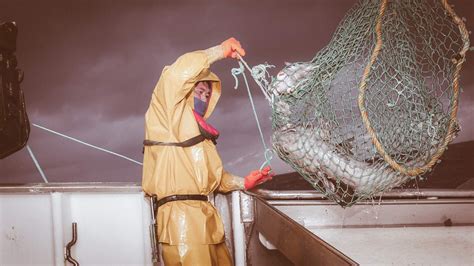 Chilean Sea Bass How Patagonian Toothfish Was Saved Msc