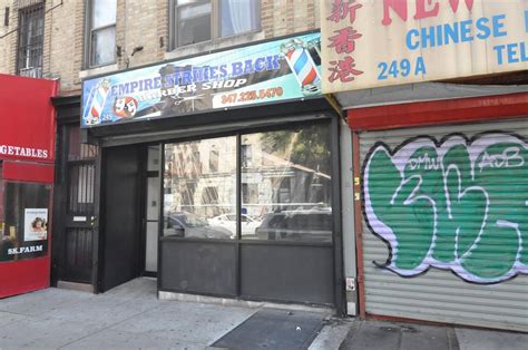 249 SCHENECTADY AVE Brooklyn NY 11213-3926 APN: 313844 | Crexi.com