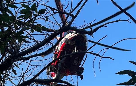 Cade Mentre Raccoglie Le Olive 58enne In Elicottero Al Pronto Soccorso