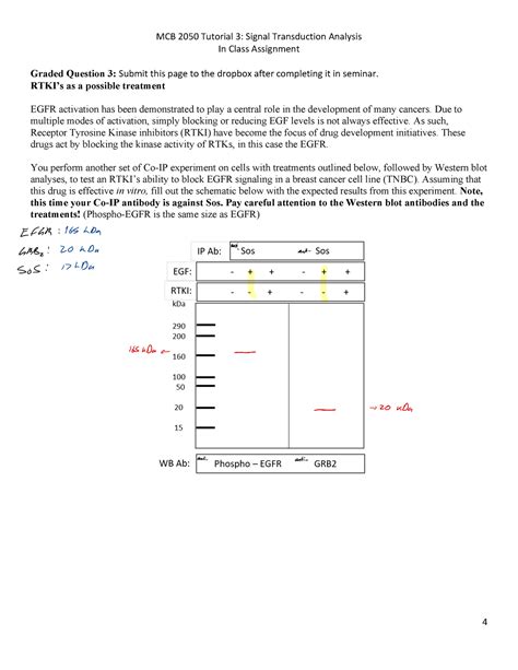 F Signal Transduction Seminar Pdf Mcb Tutorial Signal