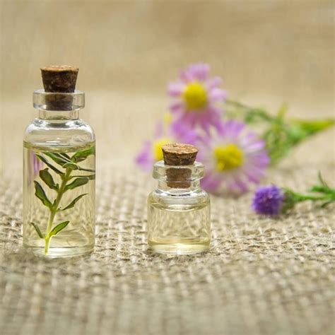 Gu A Definitiva De Aromaterapia Para Spas Beneficios Y Consejos Nicos