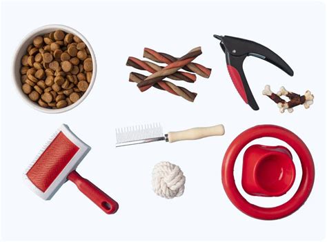 Pet Care Products: The Dog Lift by Petliftsupply | by Petliftsupply ...