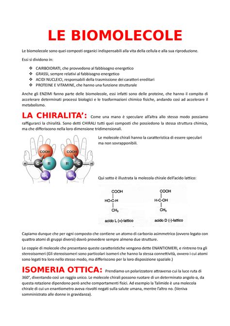 Biomolecole Ciclo Di Krebs Fotosintesi LE BIOMOLECOLE Le