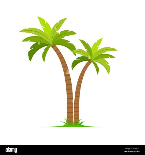 Palm Rbol Vector Isla Coco Icono De Dibujos Animados Palmera Isla