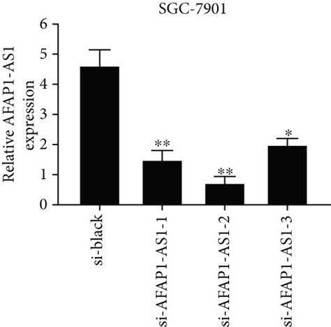 AFAP1 AS1 Knockdown Suppressed GC Cell Proliferation Migration And