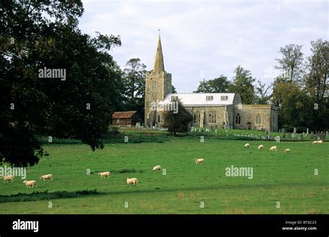 Polstead Parish Church Suffolk Grazing Sheep Maria Marten Village