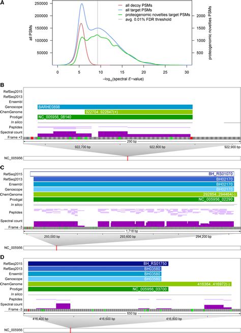 Examples Of Novel Information Uncovered By Integrative Proteogenomics