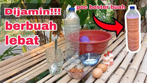 Cara Membuat Pupuk Booster Buah POC Perangsang Buah YouTube