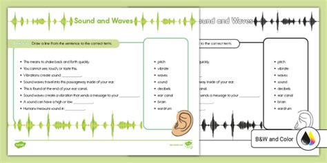 Waves Worksheet Educational Resources Twinkl Usa Worksheets Library