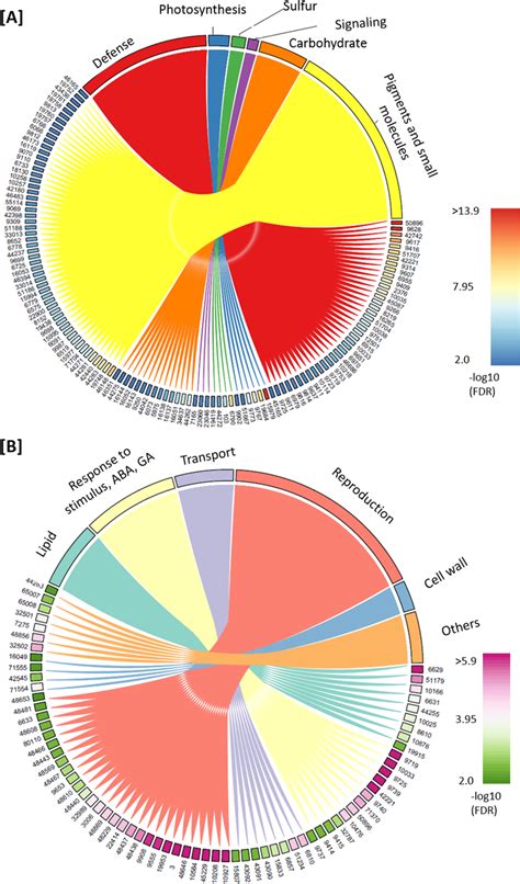 Genome Wide Profiling Of MRNAs Highlight Dcl234 Altered Biological