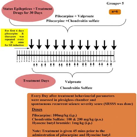 Experimental Protocol For Pentylenetetrazole Induced Kindled Seizure