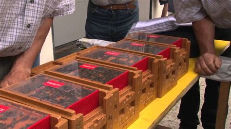 Wie Carnica - YouTube