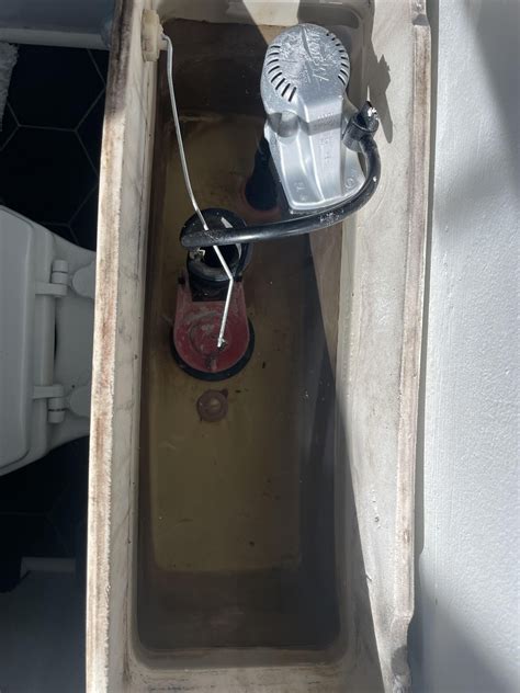 Black mold in our toilets, repair or just buy new ones? : r/DIY