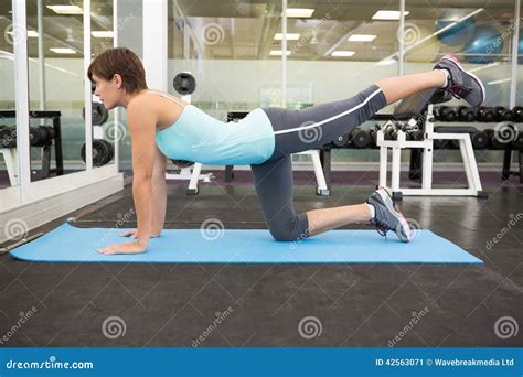 Fit Brunette Doing Pilates On Exercise Mat Stock Image Image Of