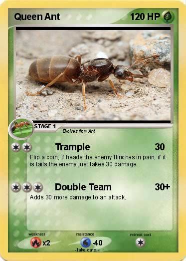 Ant Ant Pokemon