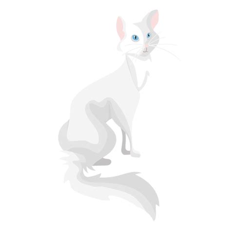 Angora Cat Illustration Png And Svg Design For T Shirts