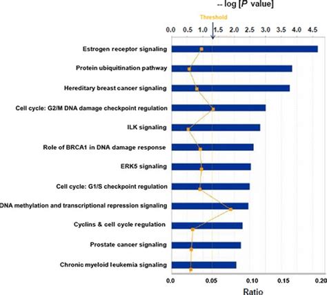 Top Canonical Pathways Derived From Ingenuity Pathway Analysis Ipa