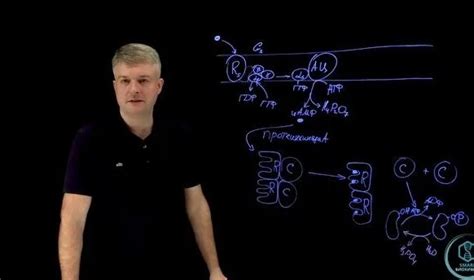 Биохимия: Аденилатциклазная система - Смотреть онлайн в поиске Яндекса ...
