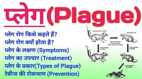 Plague Disease In Hindi Plague Symptoms