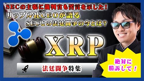 【投資】xrp特集！2020年から約2年間secと法廷闘争を続けるリップル社のceoが語るリップル社が絶対的に勝訴できると自信を見せる理由を