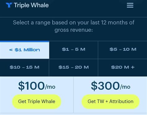 Triple Whale Review I Tried And Asked Experts To Share Their Verdict