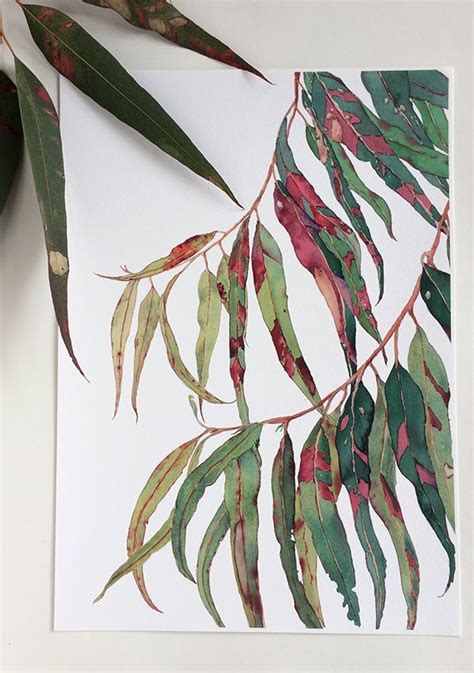 Gum Tree Print A X A X A Botanical Watercolour Wall Art