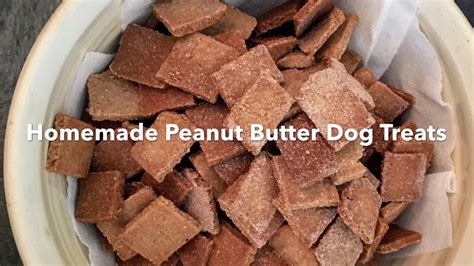 Homemade Peanut Butter Oatmeal Dog Treats Youtube