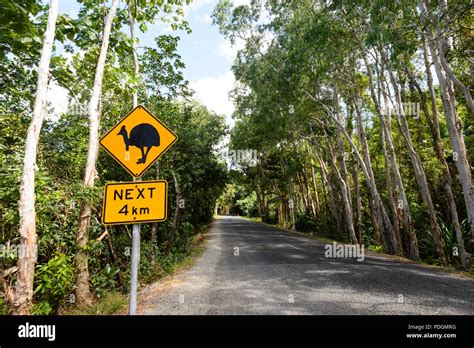 Road Sign Warning Of Cassowaries Crossing The Road Daintree National Park Cape Tribulation