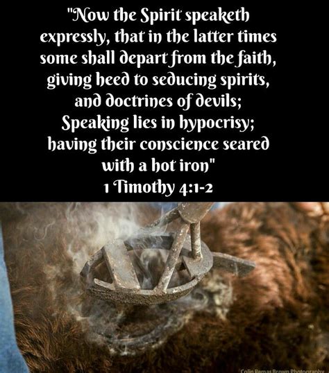 1 Timothy 41 2 Kjv Now The Spirit Speaketh Expressly That In The