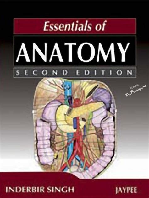 Essentials Of Anatomy 2nd Edition Anatomical Terms Of Location