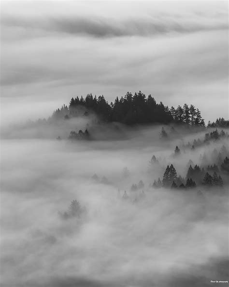 Morning Fog Mt Tam It Was A Calm Early Morning Fog View At… Flickr