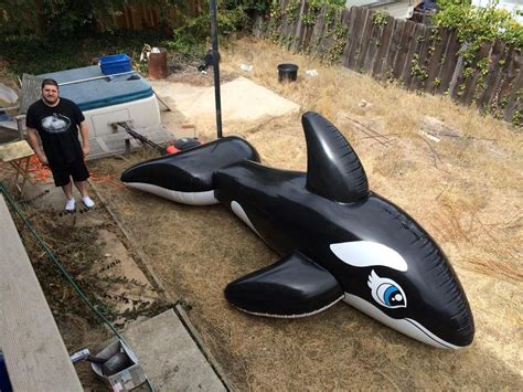 Huge Black Whale 16 Feet 5 Meters Shiny Pool Toy Big Inflatable Etsy