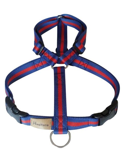 Шлейка и поводок для собаки Haqihana, Regata Limited Edition, шлейка L ...