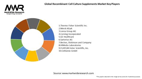 Global Recombinant Cell Culture Supplements Market 2024 2032 Size