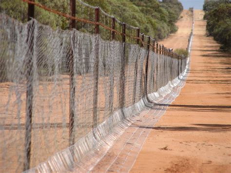 State Barrier Fence overview | Agriculture and Food