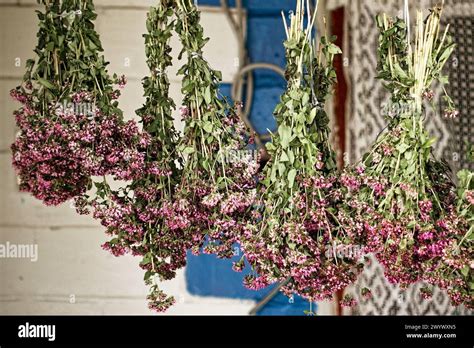 A Close Up View Of Dried Floral Bunches With Vibrant Purple Blossoms