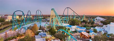 Seaworld Orlando Everything You Need To Know Before Visiting The