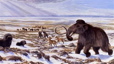 Humans Not To Blame For All Ice Age Mammals Demise Technology