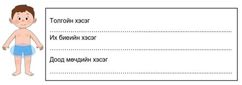 Мэдлээ | Цахим контент