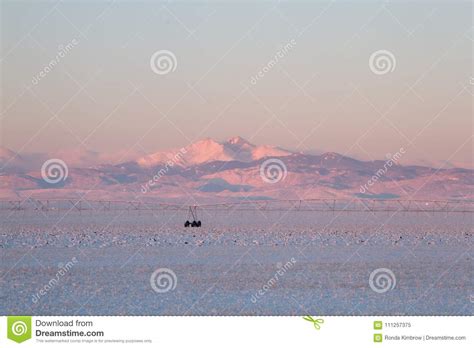 Snow Capped Longs Peak After A Winter Storm At Sunrise Stock Image